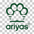 ariyas [adidas parody] green